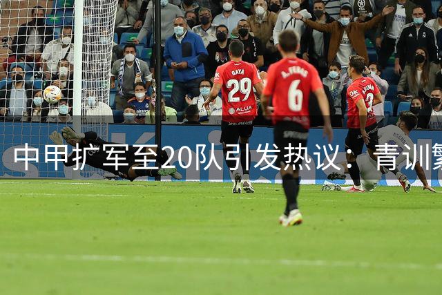中甲扩军至20队引发热议：青训繁荣背后的运营挑战