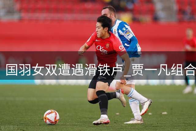 国羽女双遭遇滑铁卢 贾一凡组合意外折戟中国公开赛