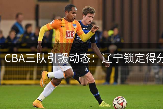CBA三队引援动态：辽宁锁定得分手 广东留新星 山东低价签防守悍将